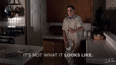 american pie gif|American pie GIF on GIFER